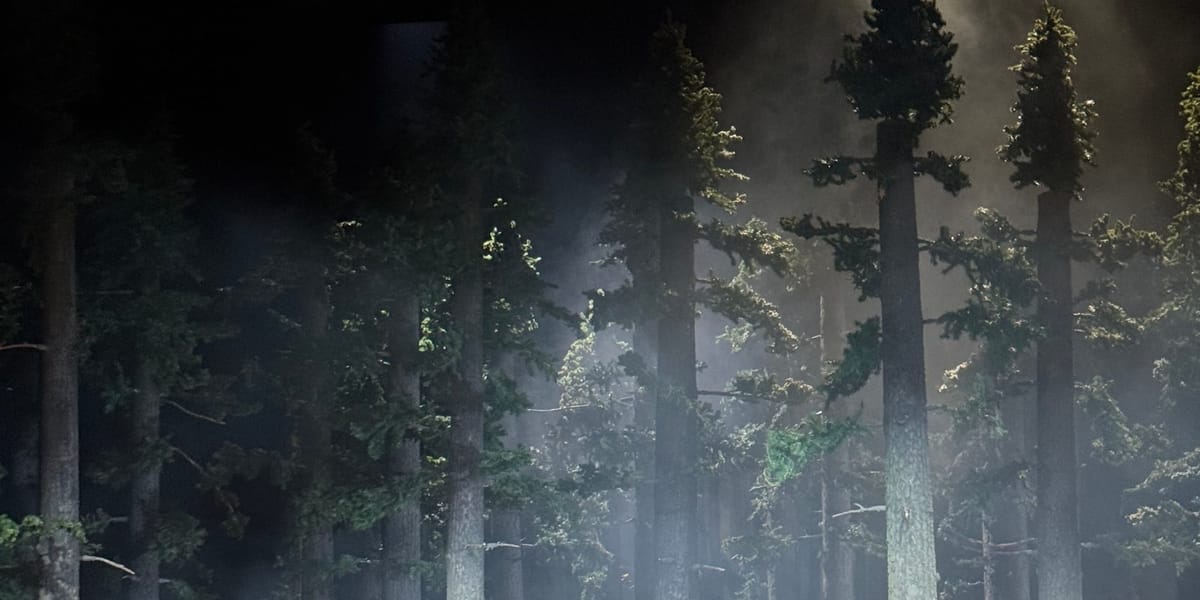 Don Giovanni at Staatsoper Berlin