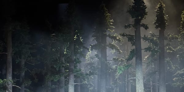 Don Giovanni at Staatsoper Berlin